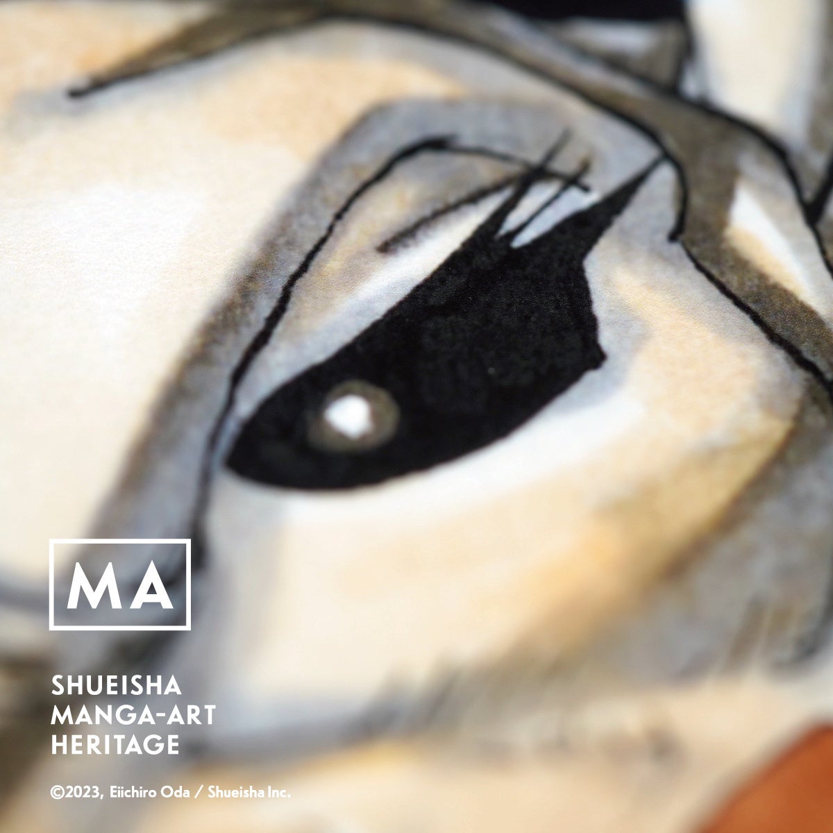 (c)2023, Eiichiro Oda ／Shueisha Inc. All rights reserved.