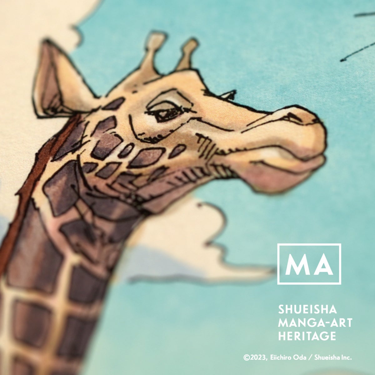 (c)2023, Eiichiro Oda ／Shueisha Inc. All rights reserved.