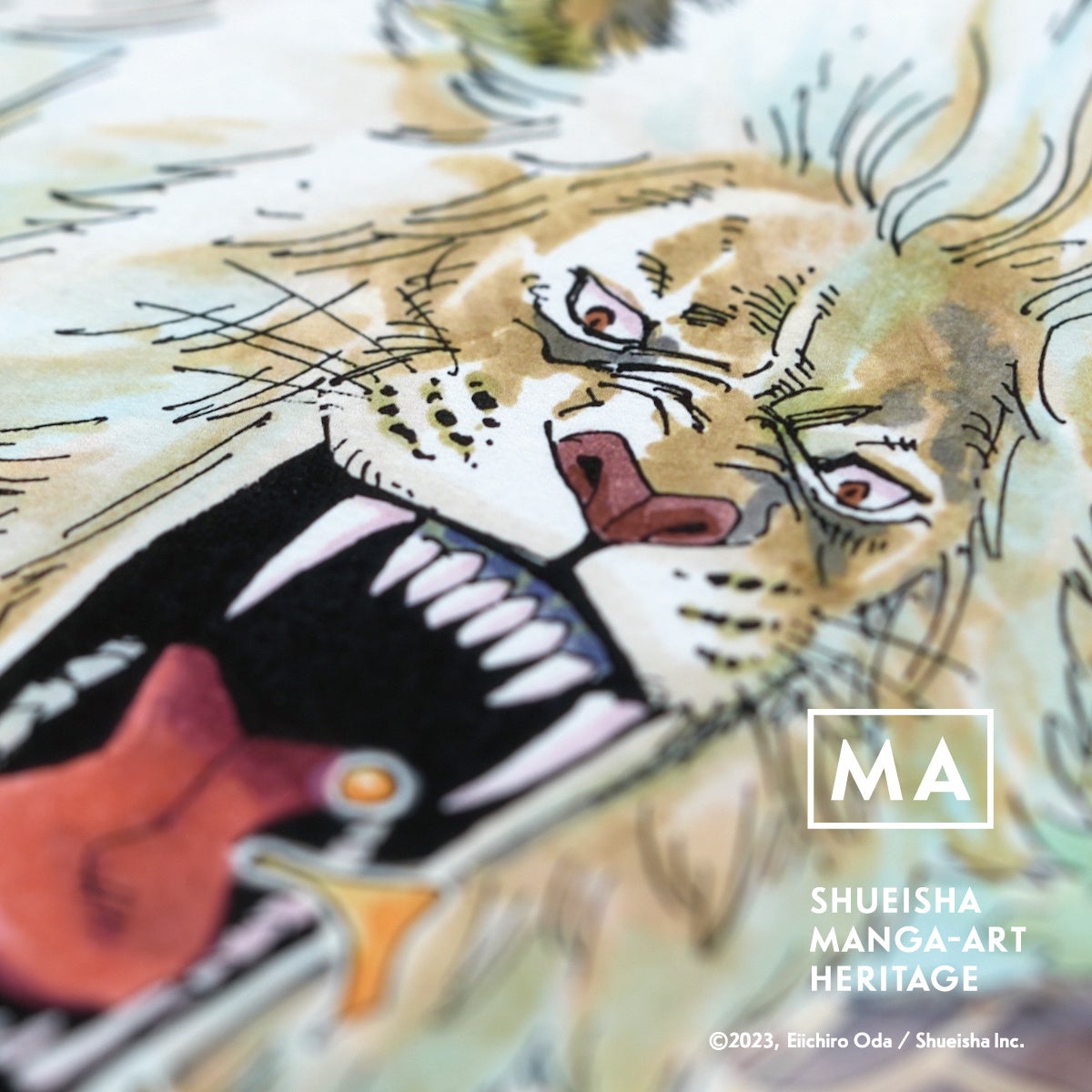 (c)2023, Eiichiro Oda ／Shueisha Inc. All rights reserved.