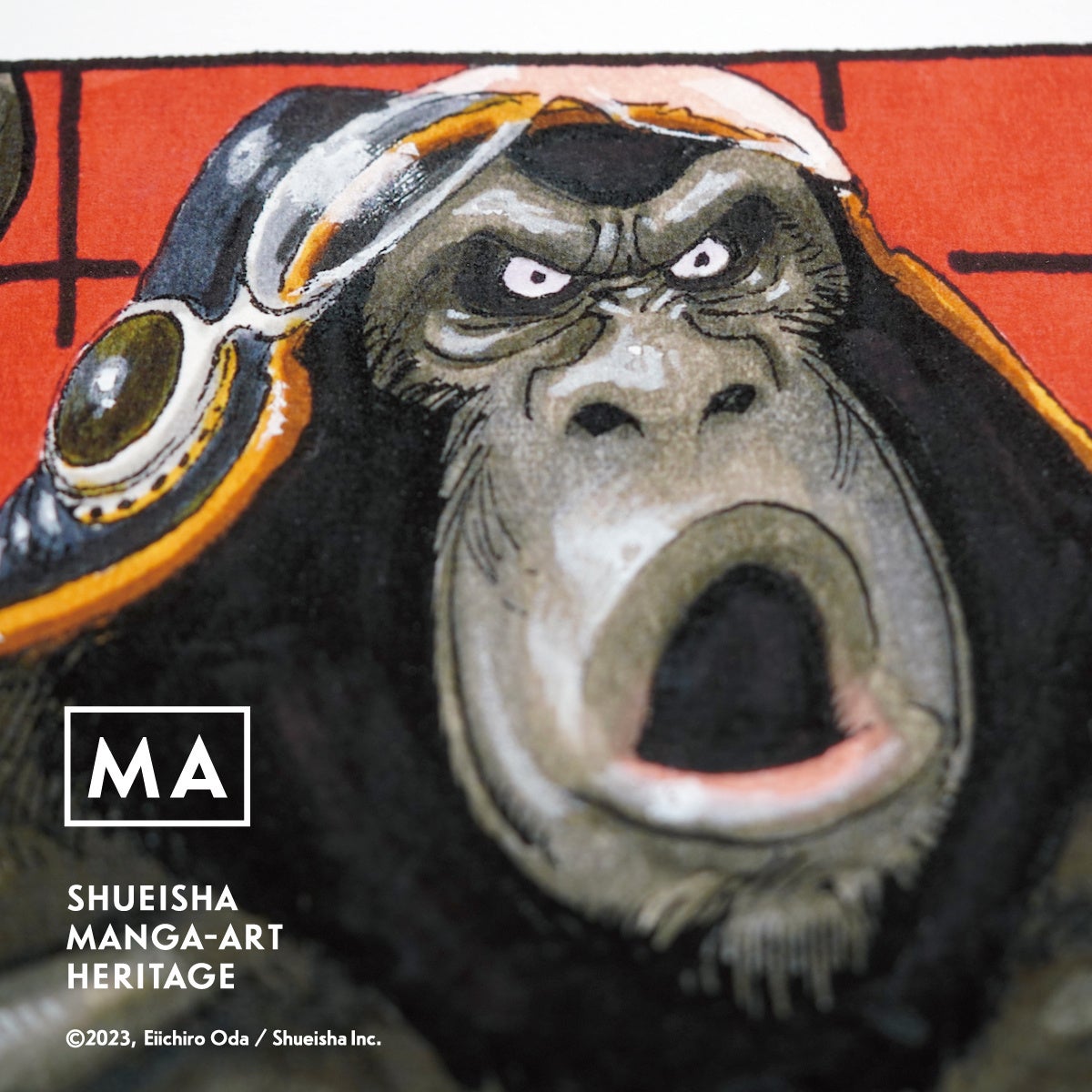 (c)2023, Eiichiro Oda ／Shueisha Inc. All rights reserved.