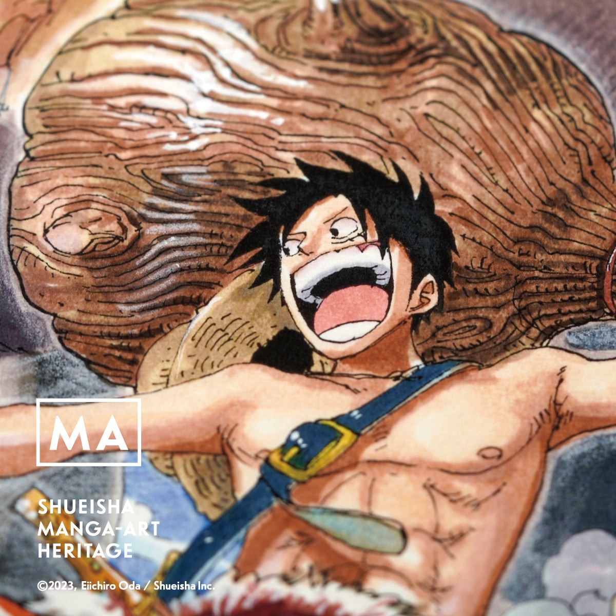 (c)2023, Eiichiro Oda ／Shueisha Inc. All rights reserved.
