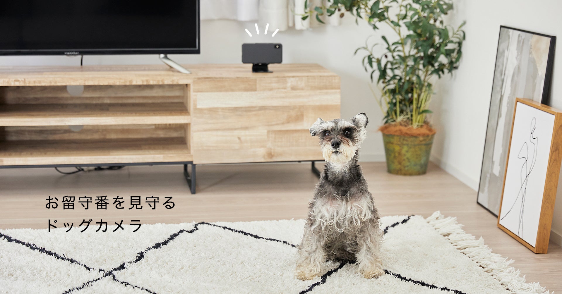 犬専用の音楽アプリ『オトとりっぷ』、2月27日より有料化