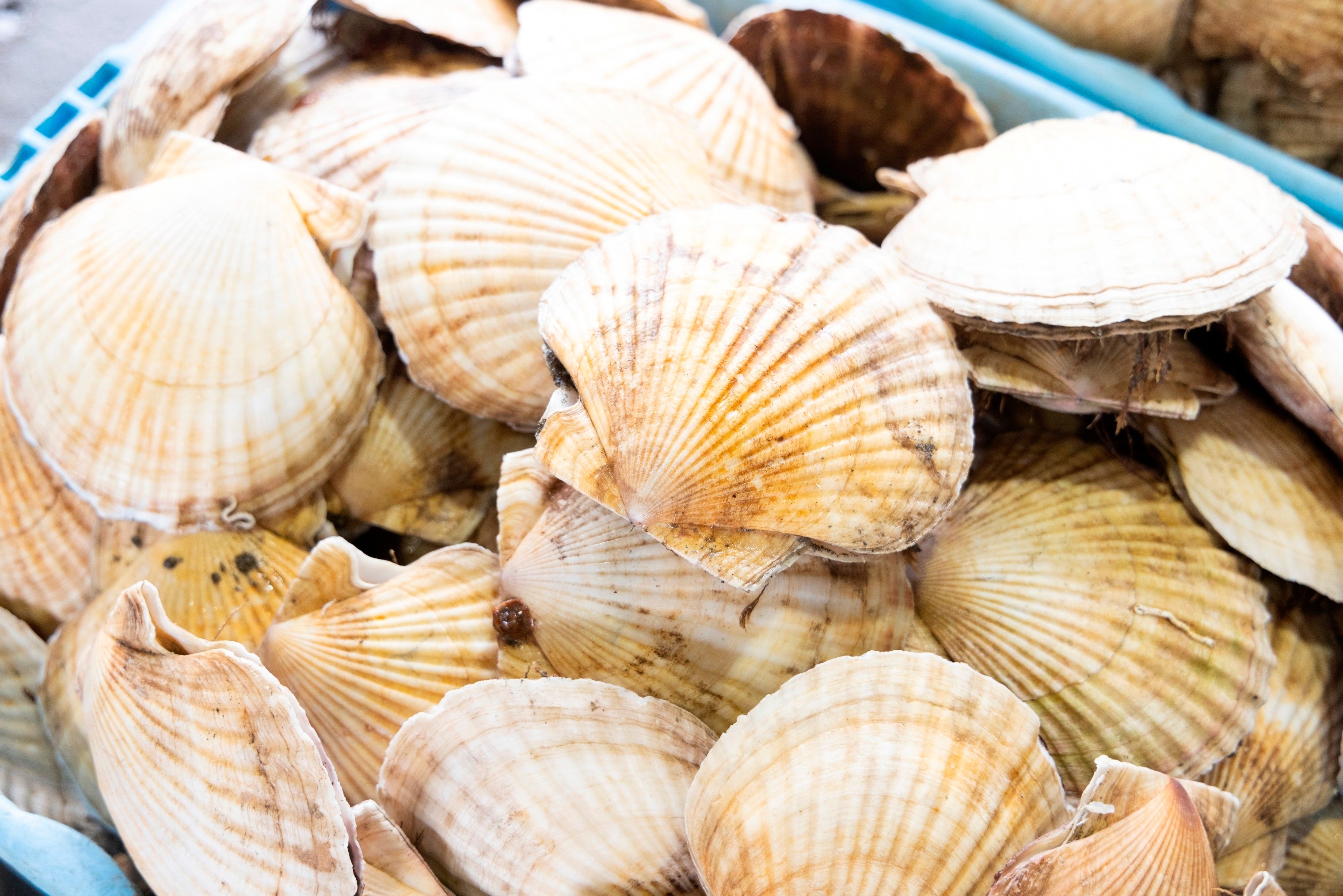 画像提供元：北海道別海町