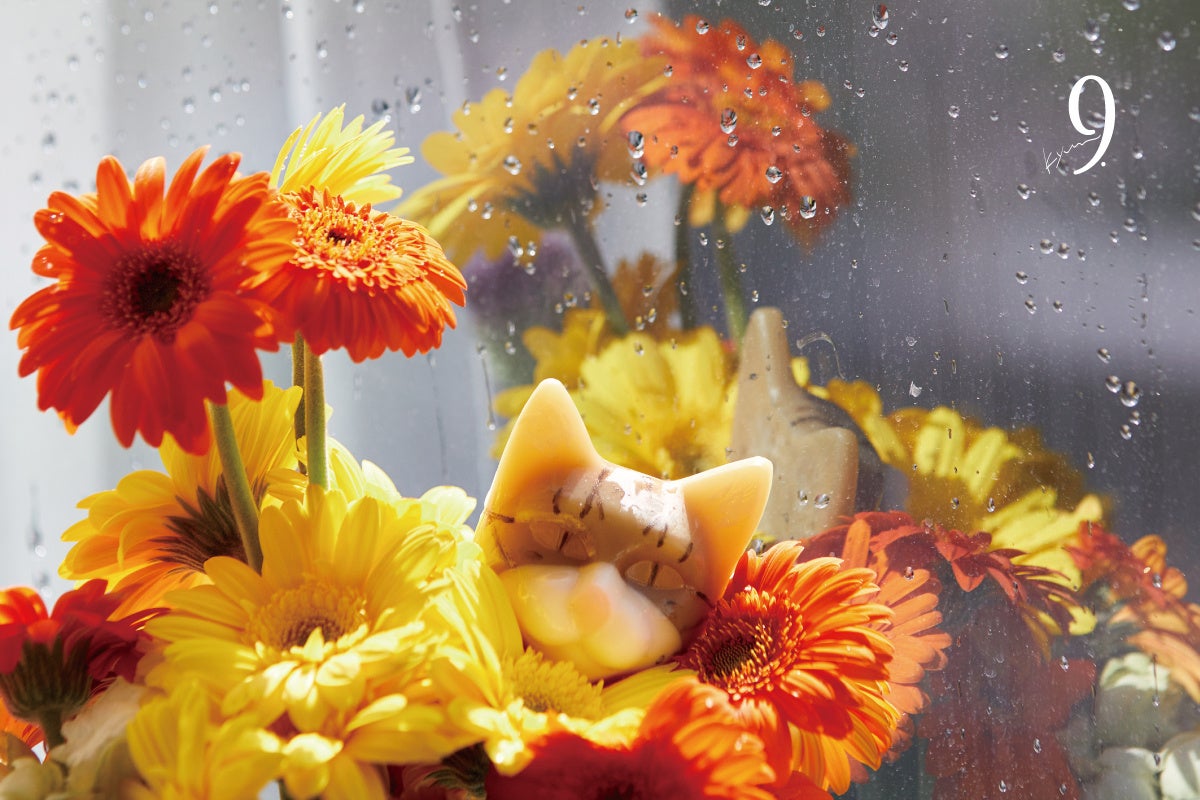 パーソナライズ石鹸ブランド「9.kyuu」より毎月生まれる「限定猫 ... - PR TIMES パーソナライズ石鹸ブランド「9.kyuu」より毎月生まれる「限定猫 ... - PR TIMES