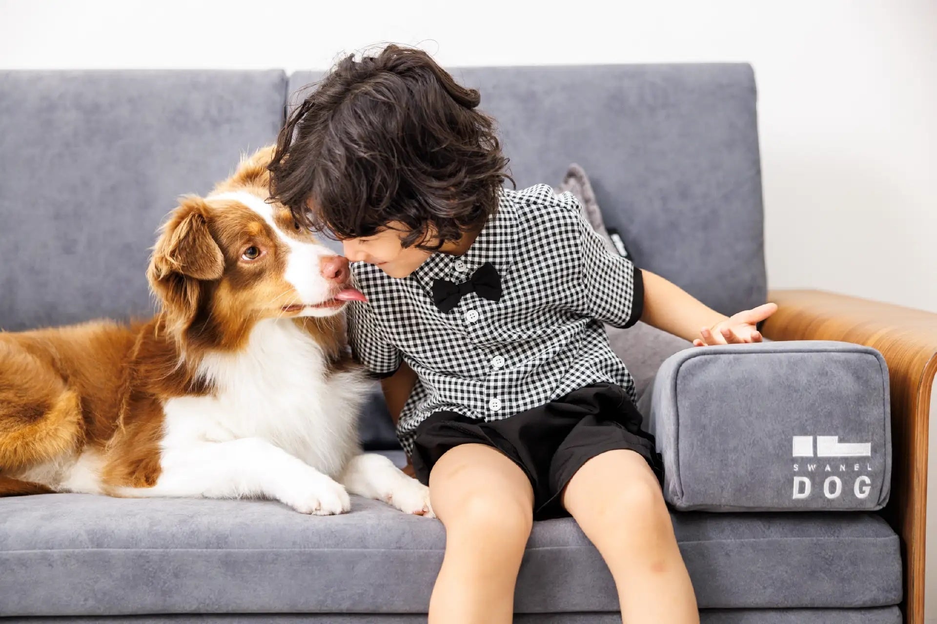 くつろぐ時間も、眠る夜も、愛犬と。一緒に寝られるソファベッド「SWANEL-DOG」誕生