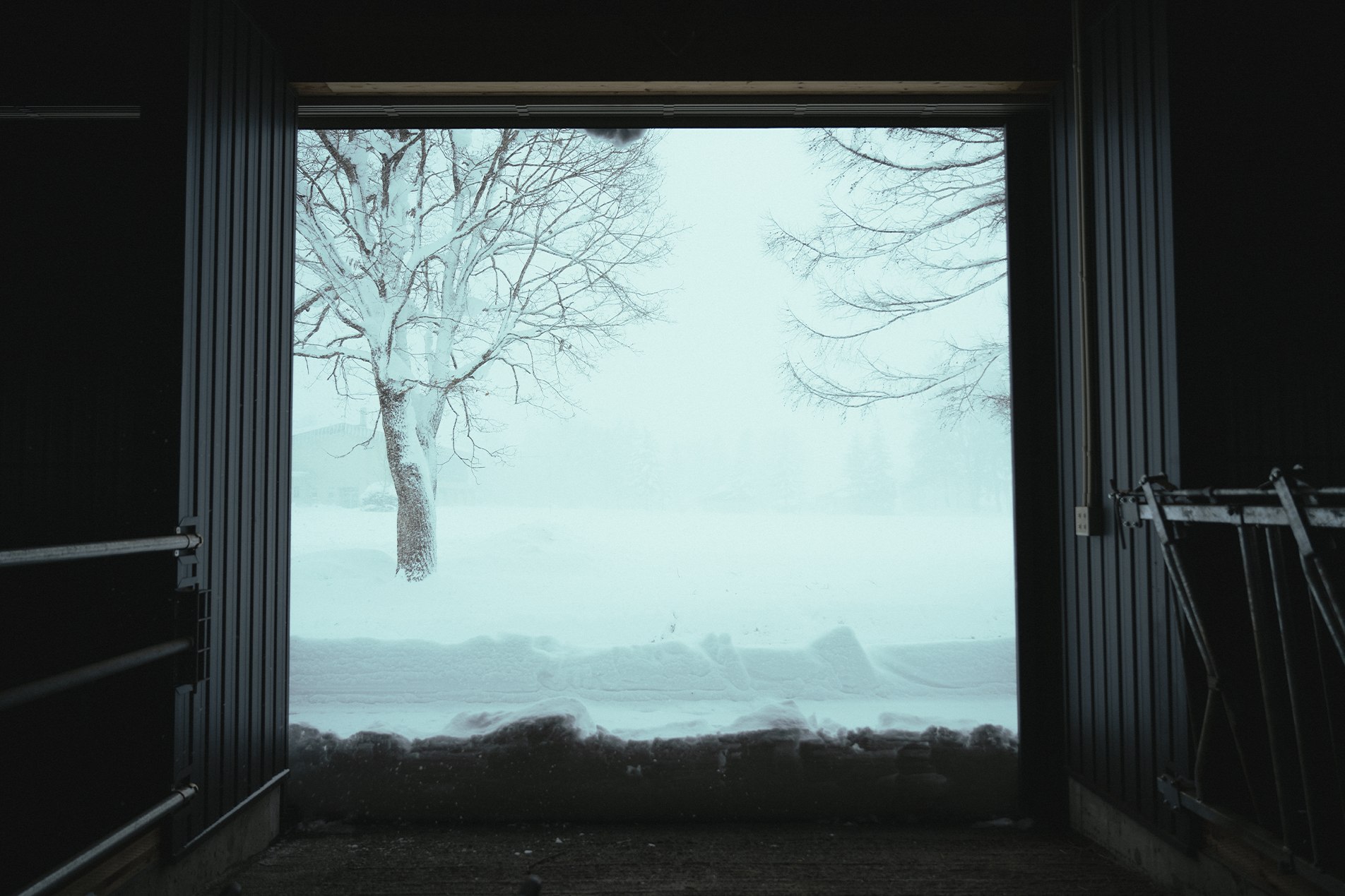 冬は厳しく、日本有数の豪雪地帯である。