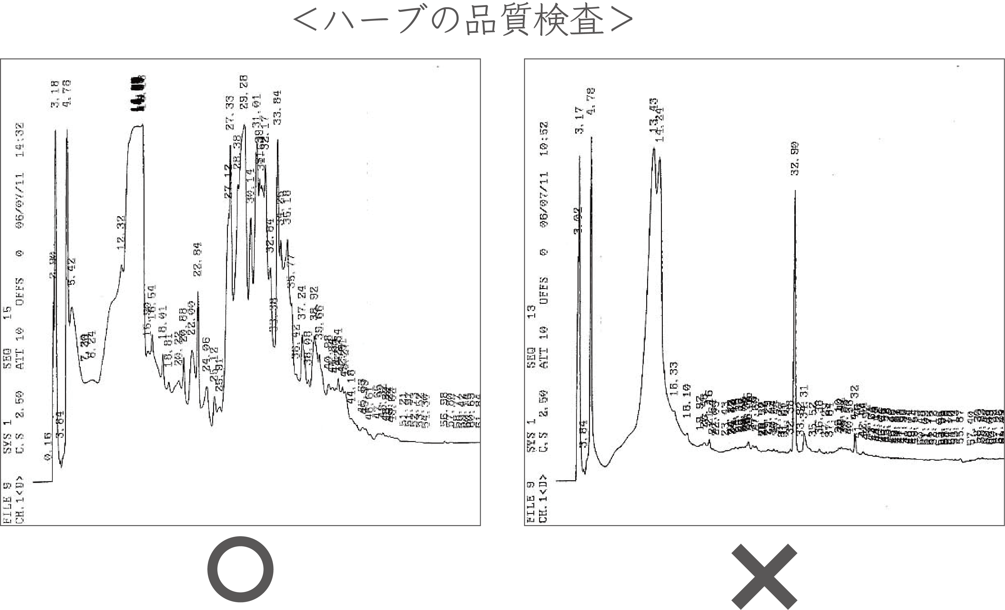 アーユルマスターマルチオイルセラム 100%自然由来オイルが潤いを与え整えるマルチオイルセラム