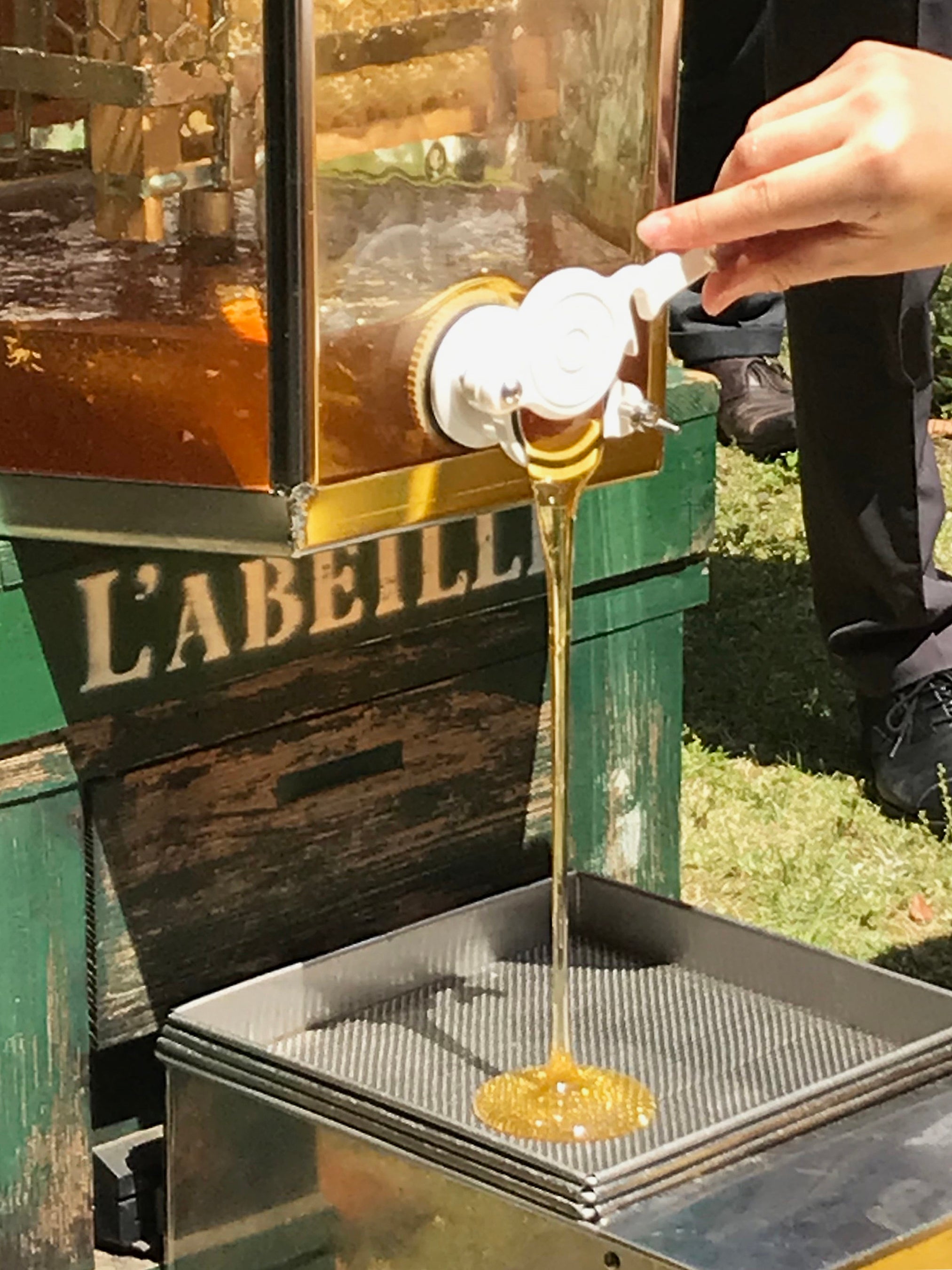 東京麻布のはちみつ蜜絞り1