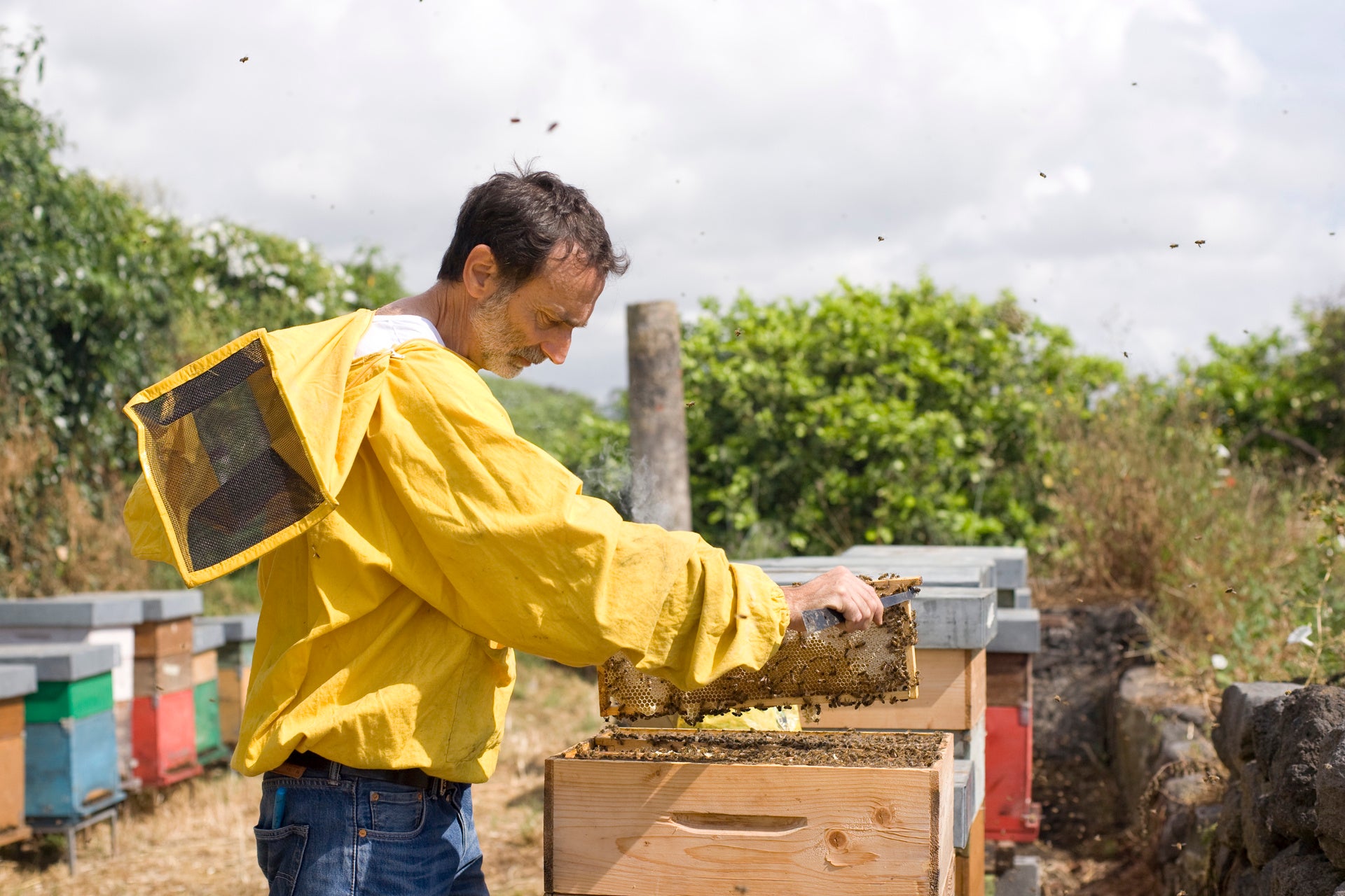 シチリア養蜂家アントニノ・ココ氏