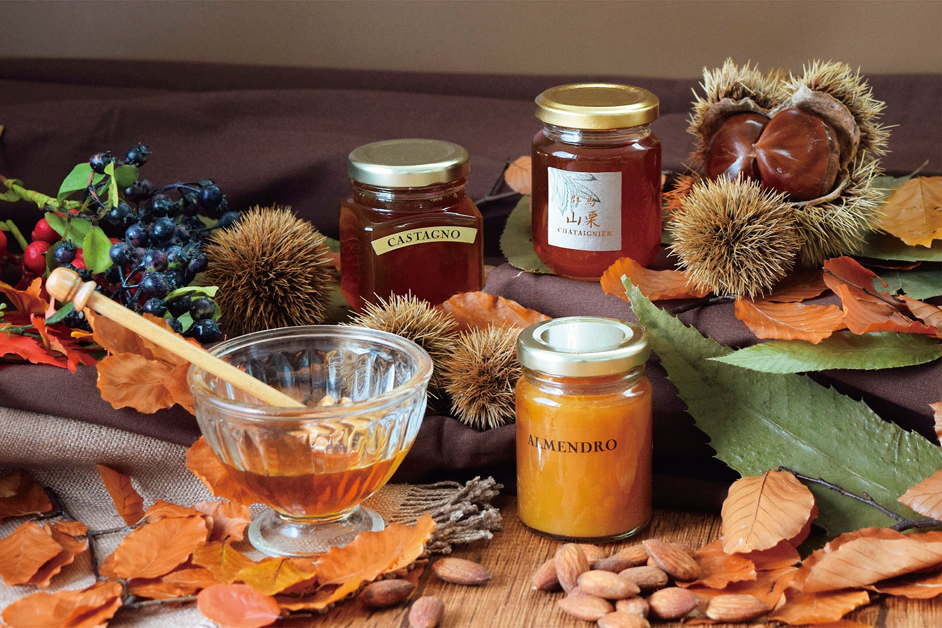 秋におすすめはちみつ集合イメージ