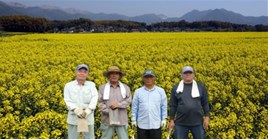 地元の営農者有志と菜の花畑