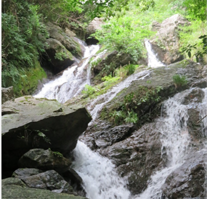 椿市に流れる千仏滝の様子