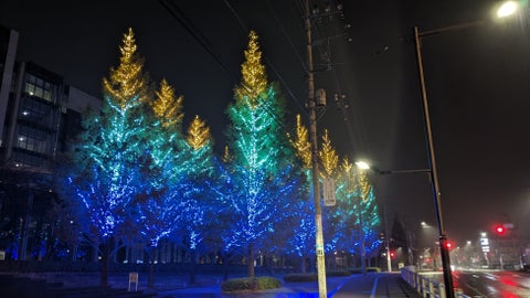 【12/1(金)から】19万球超「かなまちイルミネーション」開催 【12/1(金)から】19万球超「かなまちイルミネーション」開催