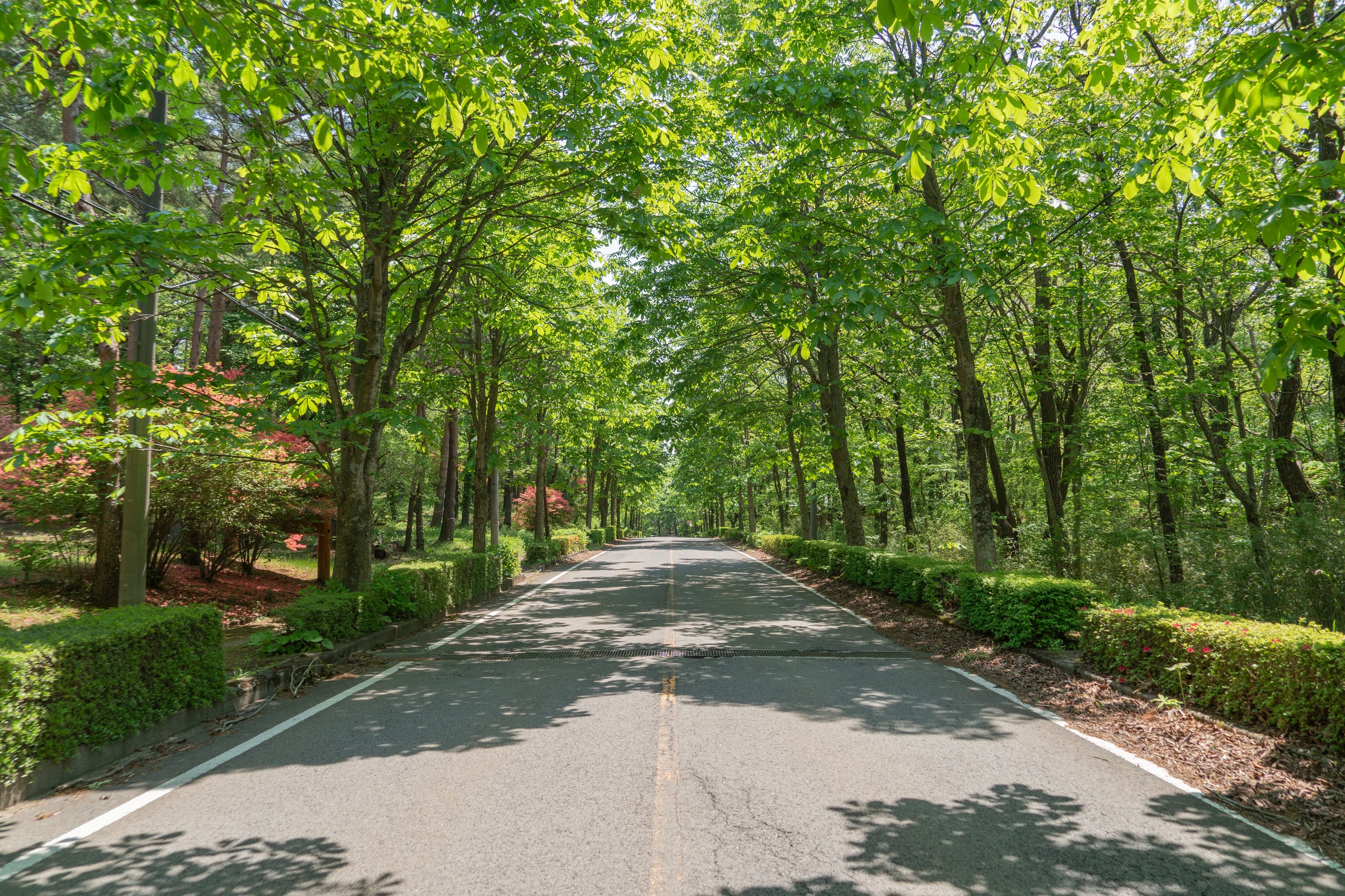那須別荘地周辺イメージ