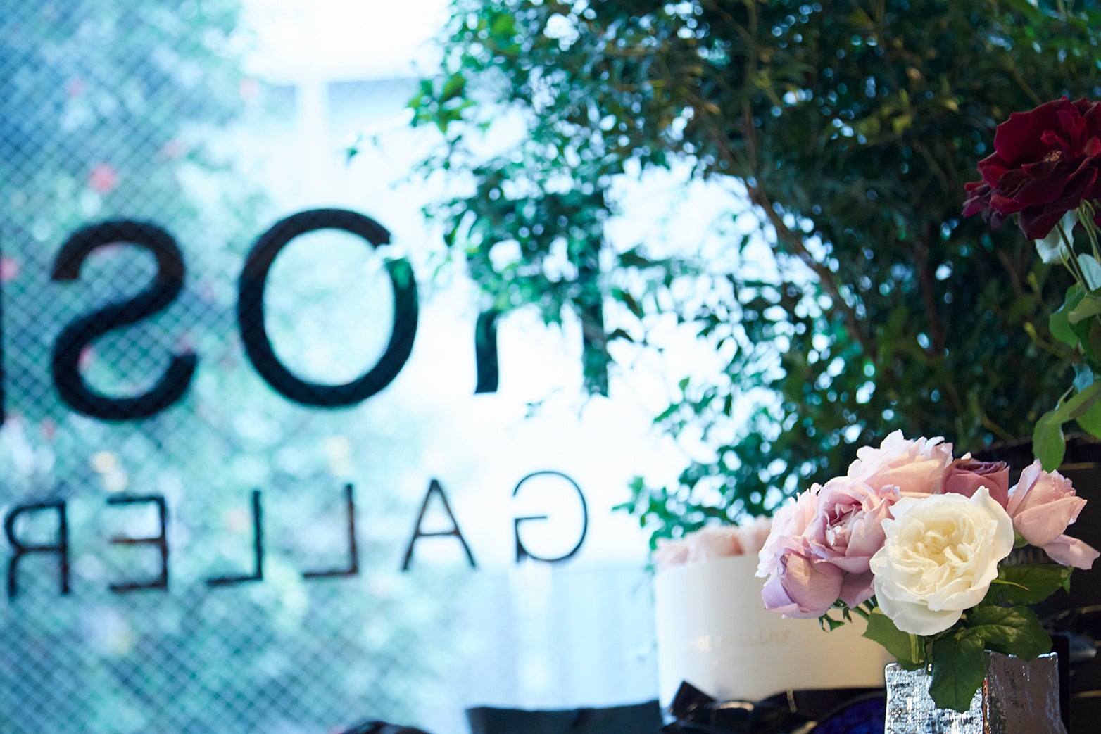 ROSE GALLERY(Photo by Kenta Yoshizawa)