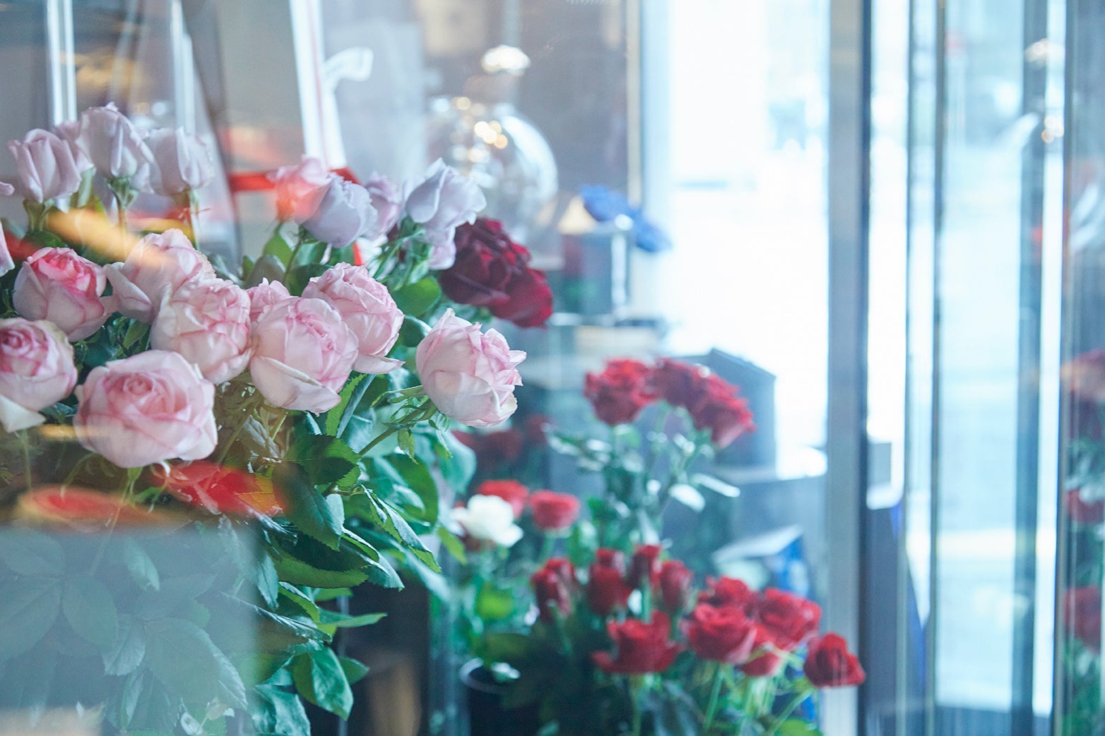 Photo by Kenta Yoshizawa