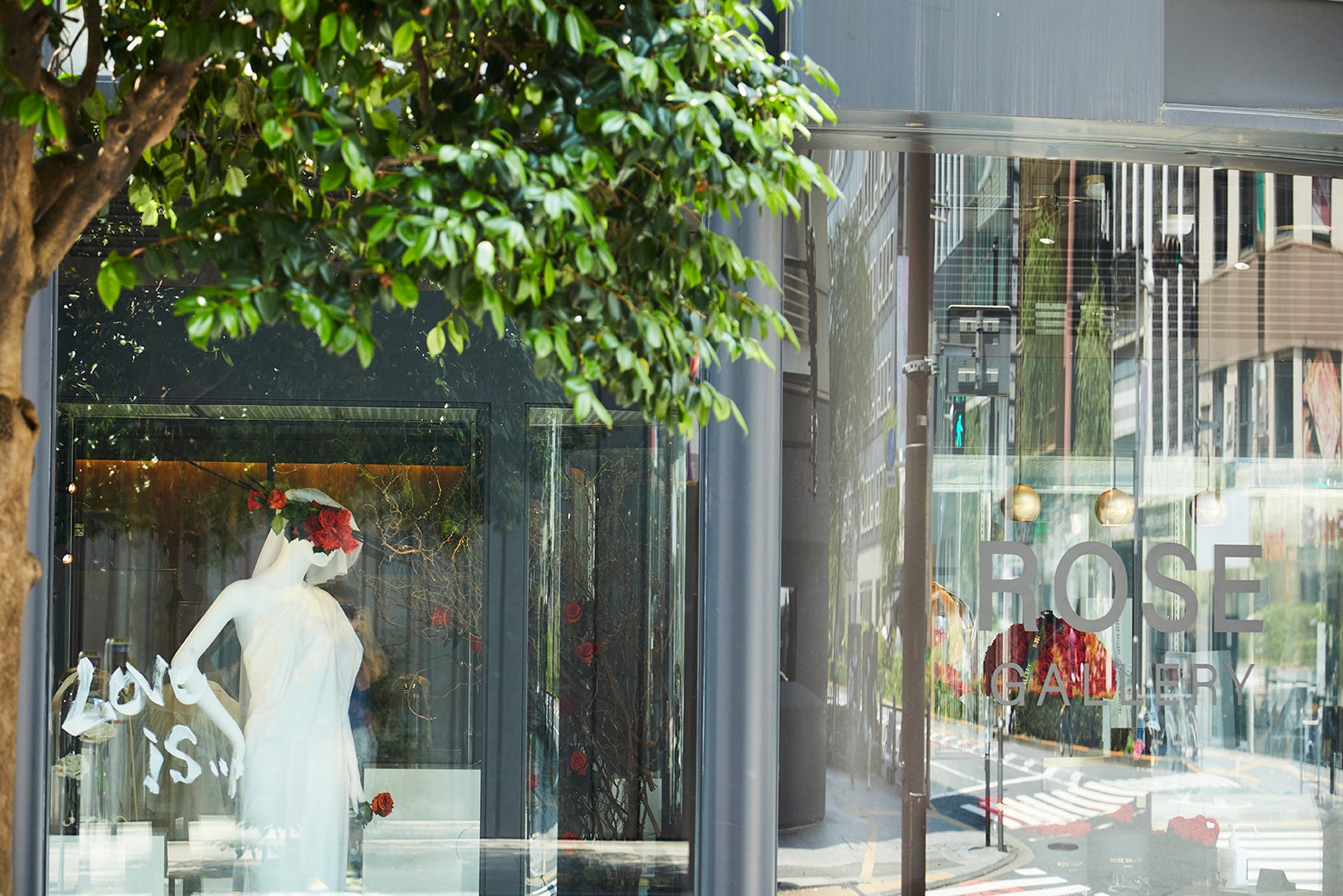 Photo by Kenta Yoshizawa