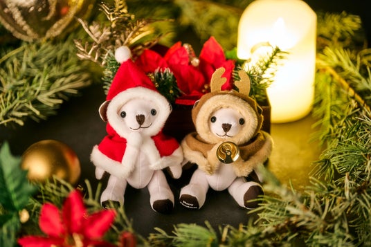 【ヒルトン横浜】数量限定!「Christmas Market in 横浜赤レンガ倉庫」宿泊プランを販売 【ヒルトン横浜】数量限定!「Christmas Market in 横浜赤レンガ倉庫」宿泊プランを販売