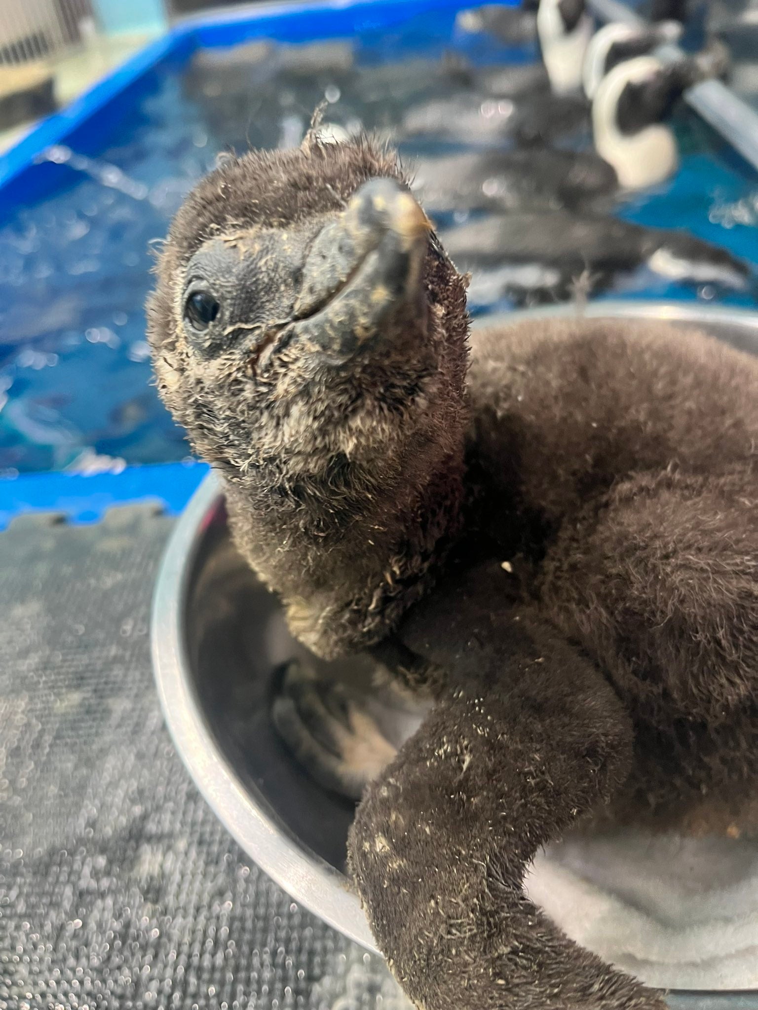 すくすくと成長しています