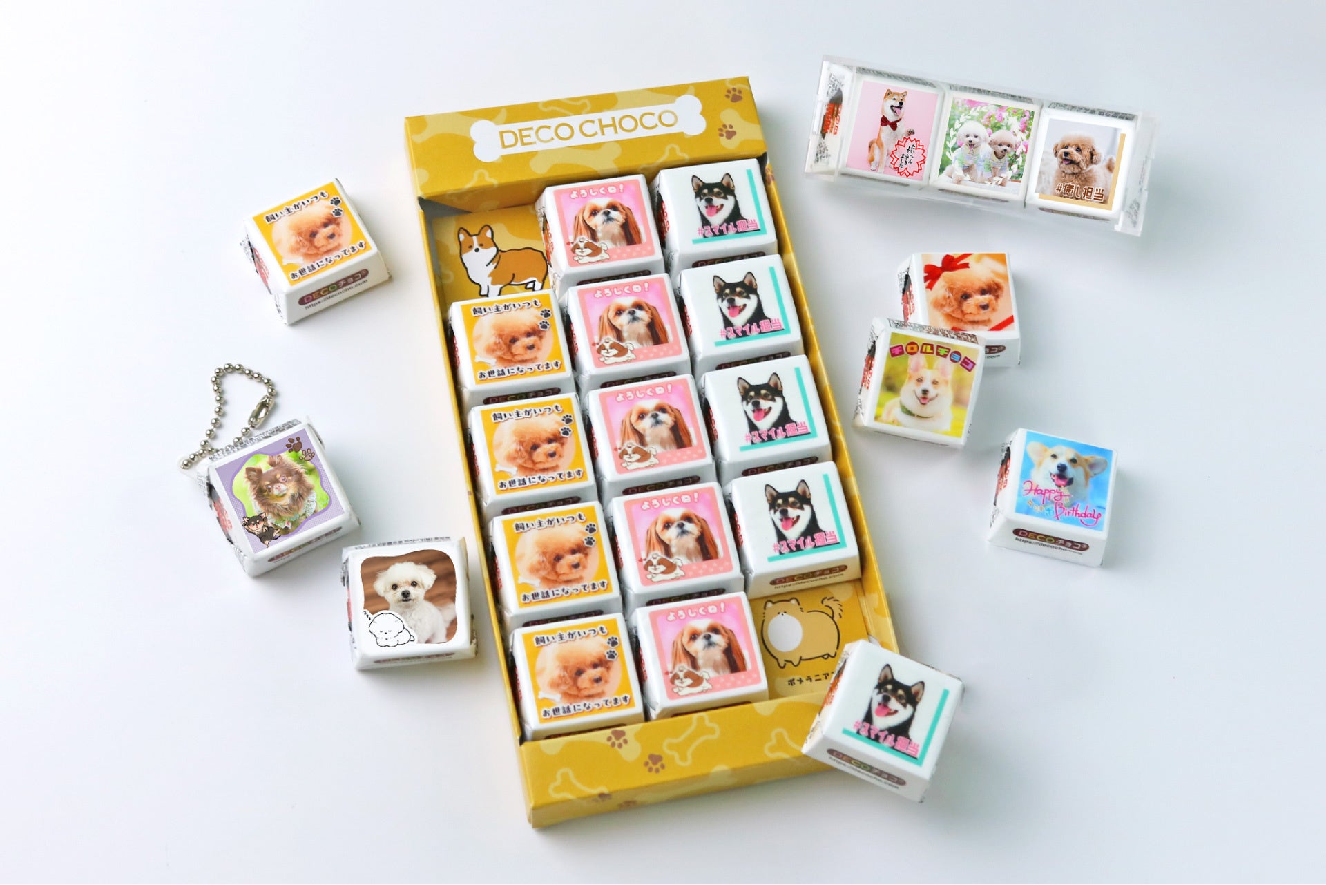 犬の日（11月1日）に向けて「DECOチョコ犬フェス」開催。動物愛護支援