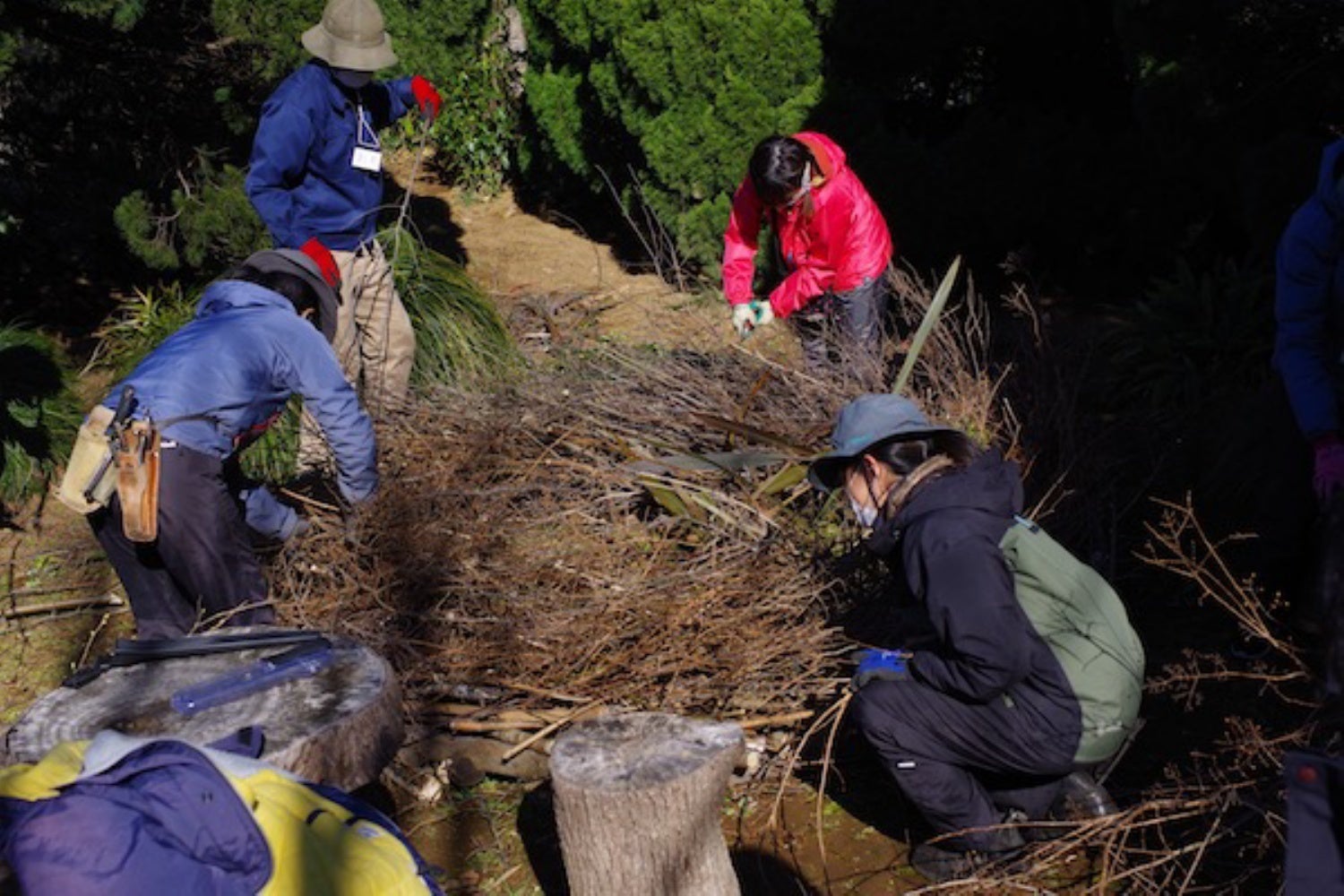 過去のバイオネストWSイメージ
