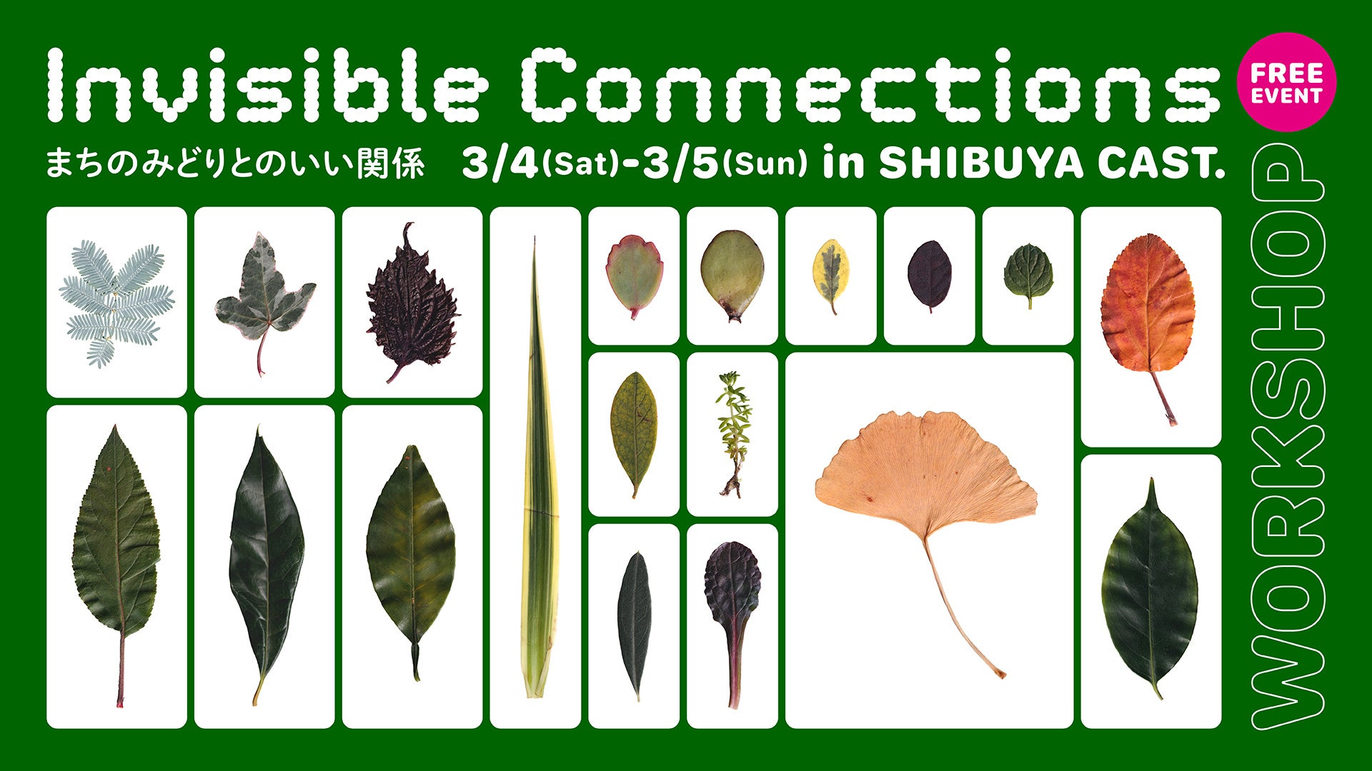 Invisible Connectionsメインビジュアル