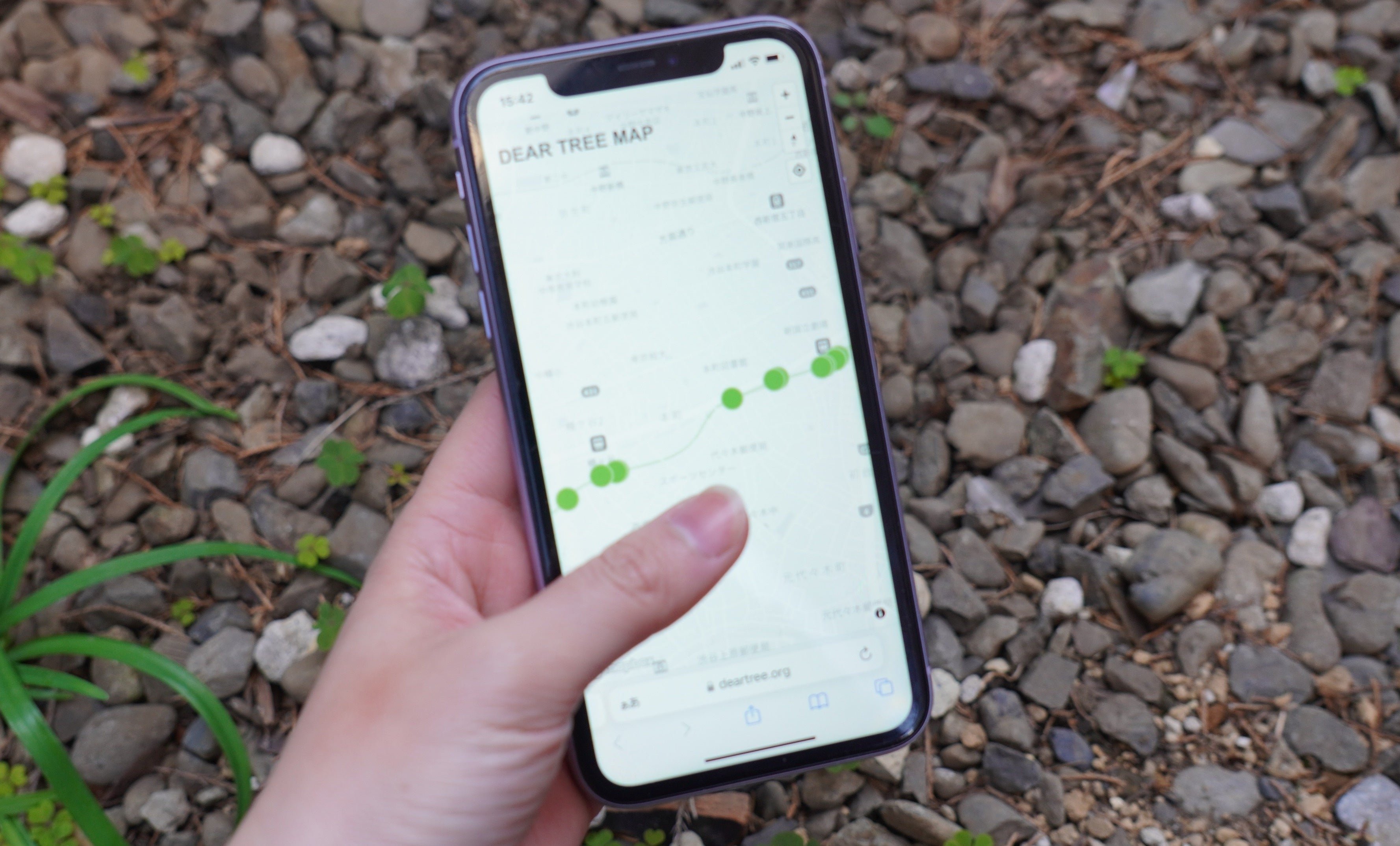 Dear Tree Map散策イメージ