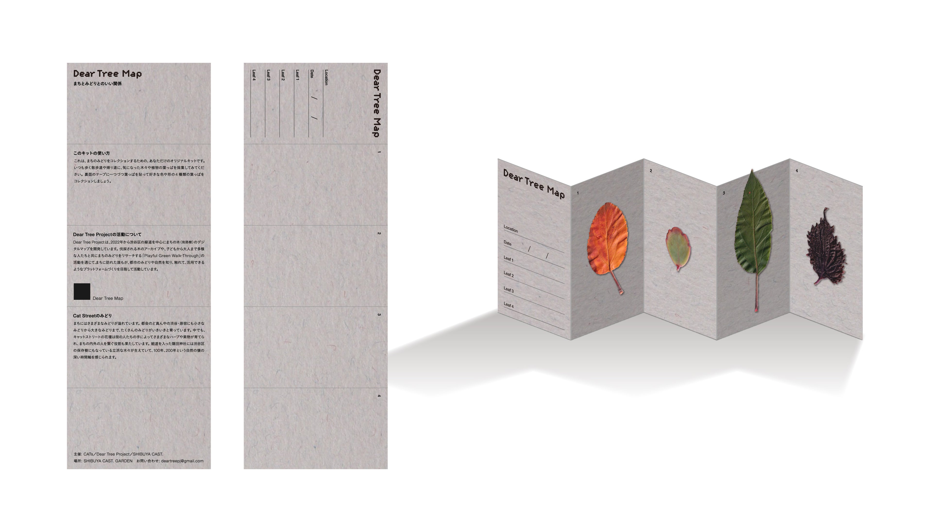 グリーン・コレクションキット（イメージ）