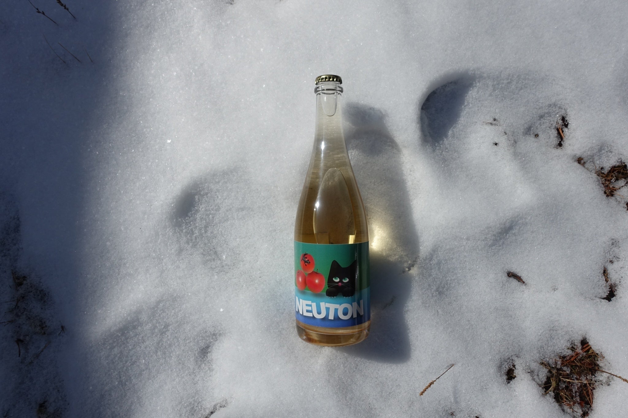 NEUTON by NEUT Magazine