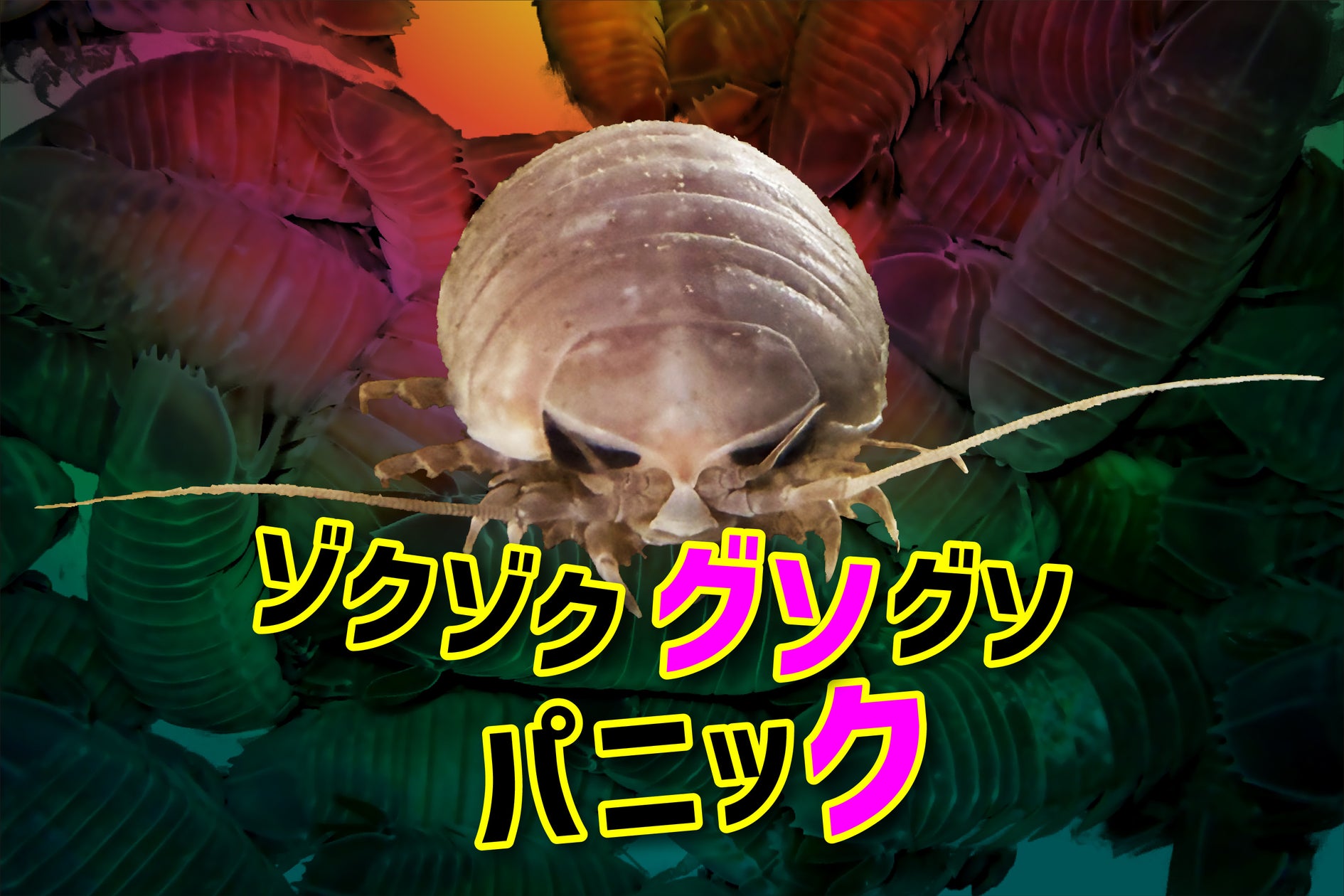 11月「子宮頸がん予防啓発強化月間」に合わせイベント実施!川崎鷹也さんによるトーク&弾き語りライブ『川崎鷹也 MAGIC NOTE with Hellosmile 2026』スペシャルゲストも出演予定