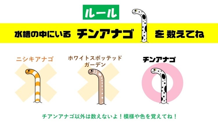 ※イメージ