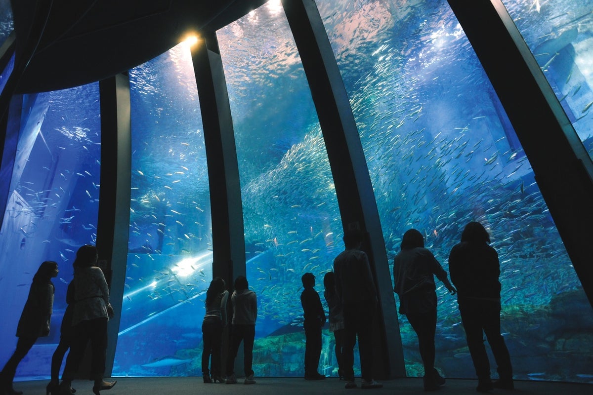 水族館「アクアミュージアム」