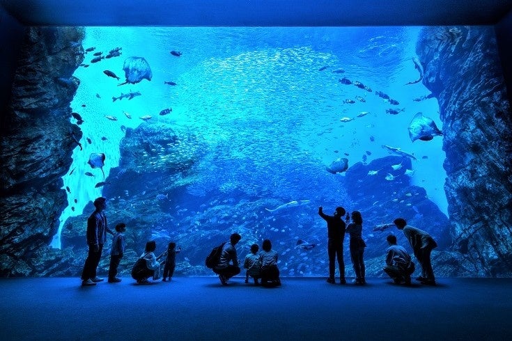 水族館とアンパンマンを親子で巡る。仙台うみの杜水族館と仙台アンパンマンこどもミュージアム&モールの「親子ペアチケット」が11月4日から販売