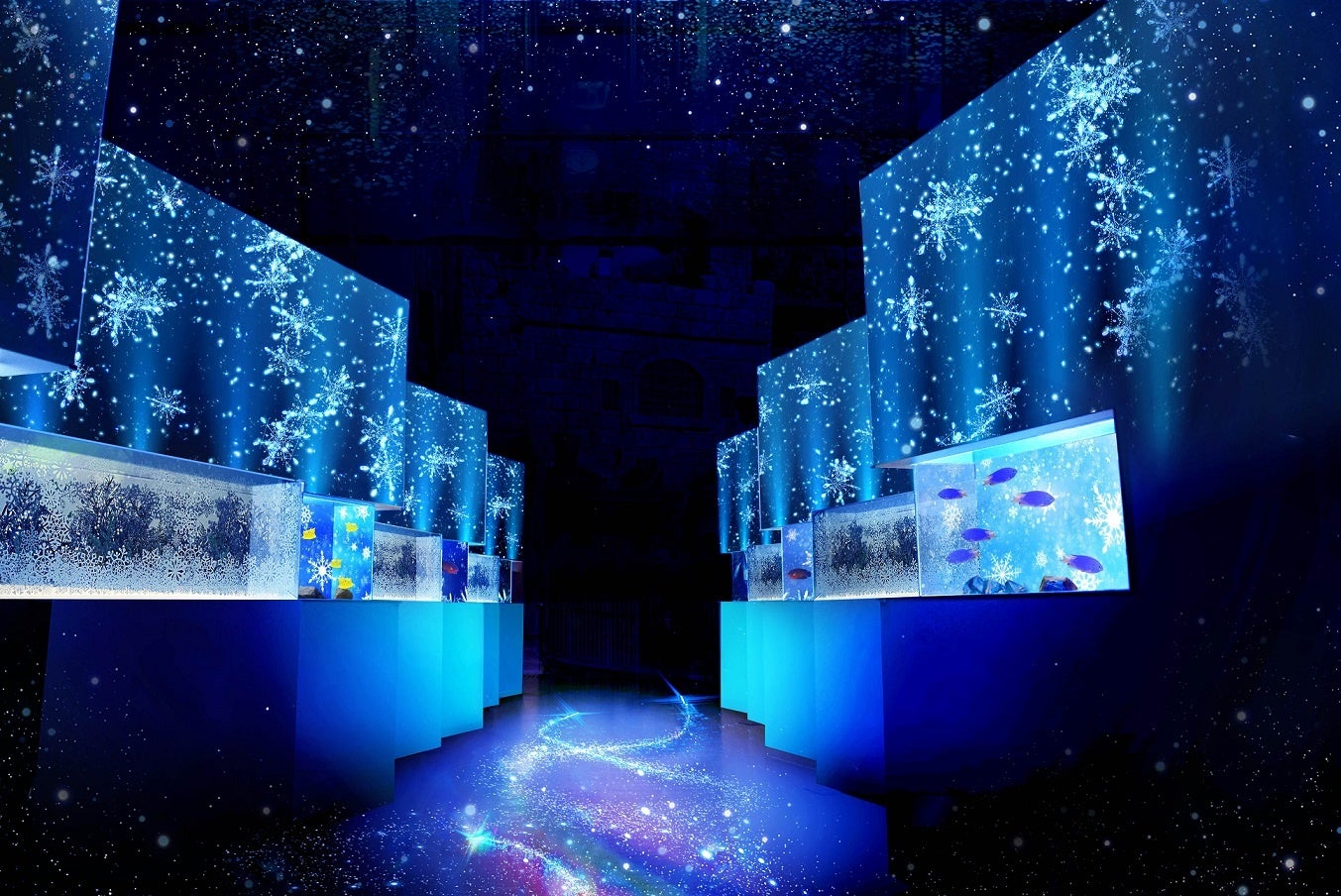 ＷＩＮＴＥＲ ＣＯＬＯＲ ＳＴＲＥＥＴ　※イメージ