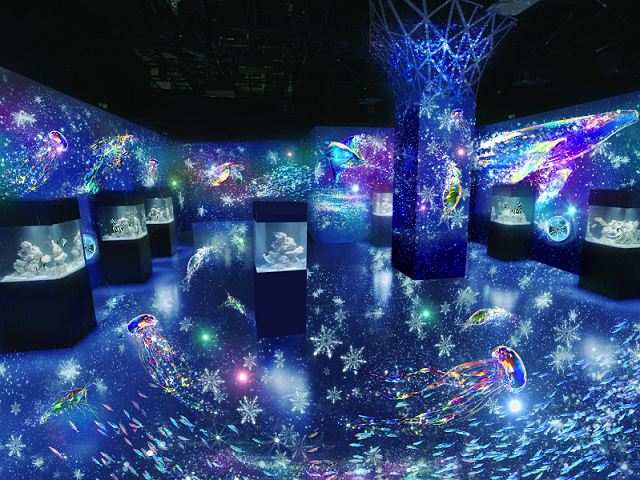 ＭＡＲＩＮＥ ＳＮＯＷ ＤＯＭＥ　※イメージ