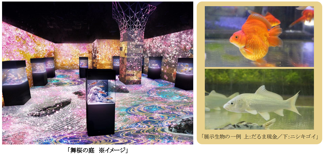 猪名川でいこう FILN 光と刻 アクアプラス AQUAPLUS ホーム