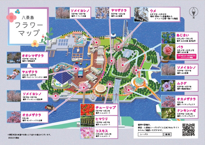 横浜 八景島シーパラダイス はなパラ シーパラならではのお花見体験 株式会社 横浜八景島のプレスリリース 横浜 八景島シーパラダイス はなパラ シーパラならではのお花見体験 株式会社 横浜八景島のプレスリリース