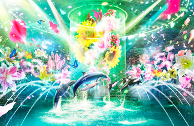 Beauty of Flower ※イメージ