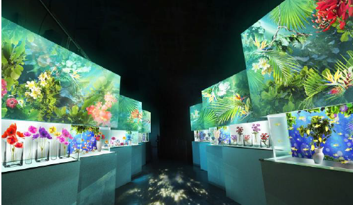 「Ｂｌｏｏｍｉｎｇ Ｓｔｒｅｅｔ ※イメージ