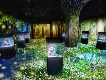 「Ｍａｒｉｎｅ Ｆｏｒｅｓｔ※イメージ」