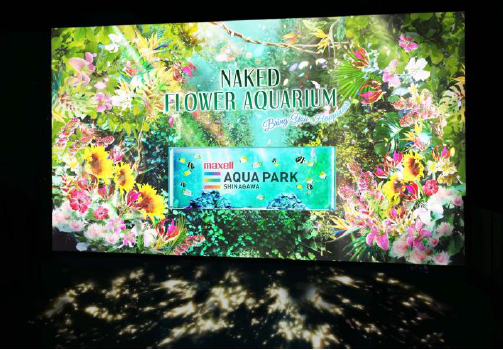 Ｗｅｌｃｏｍ Ｆｌｏｗｅｒ Ｇａｔｅ　※イメージ