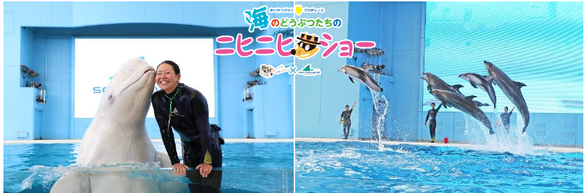 海のどうぶつたちのニヒニヒショー