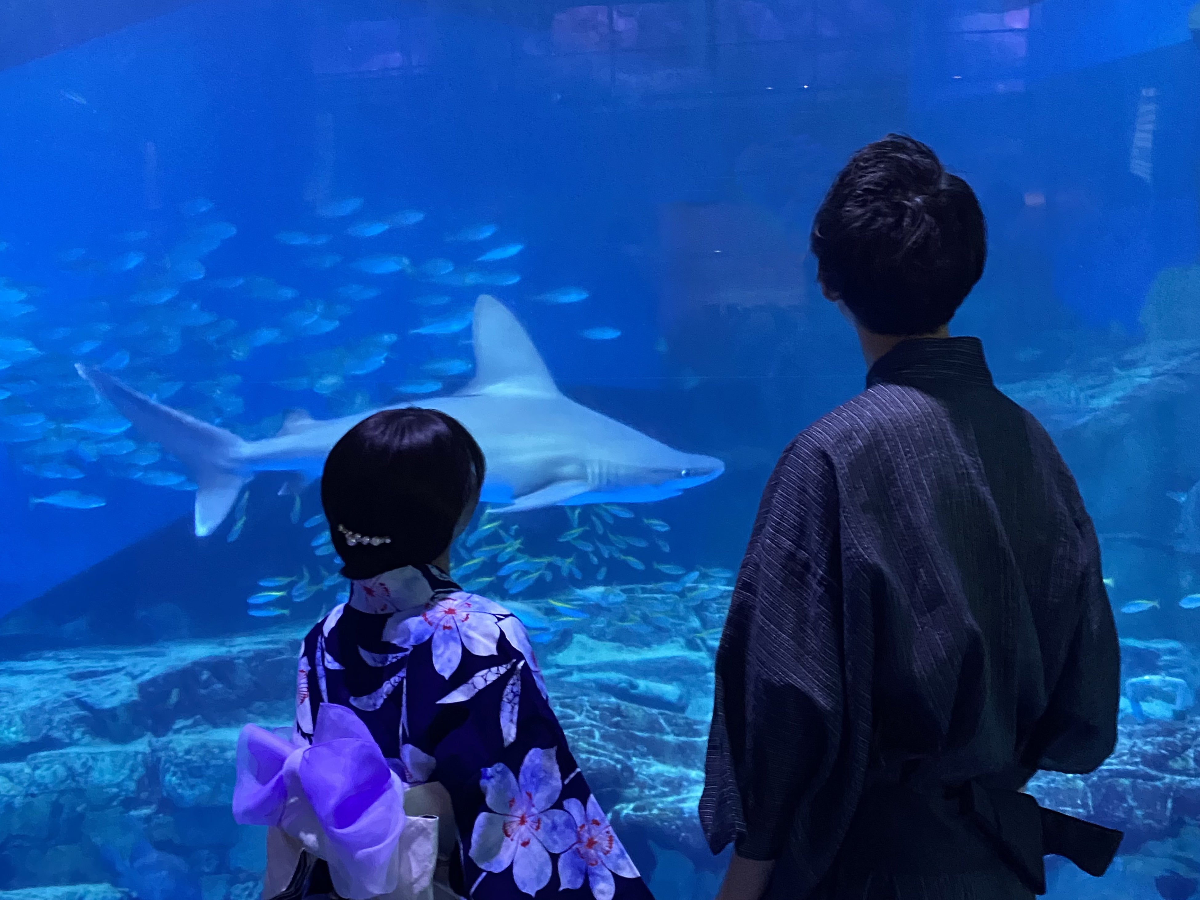 浴衣カップル２