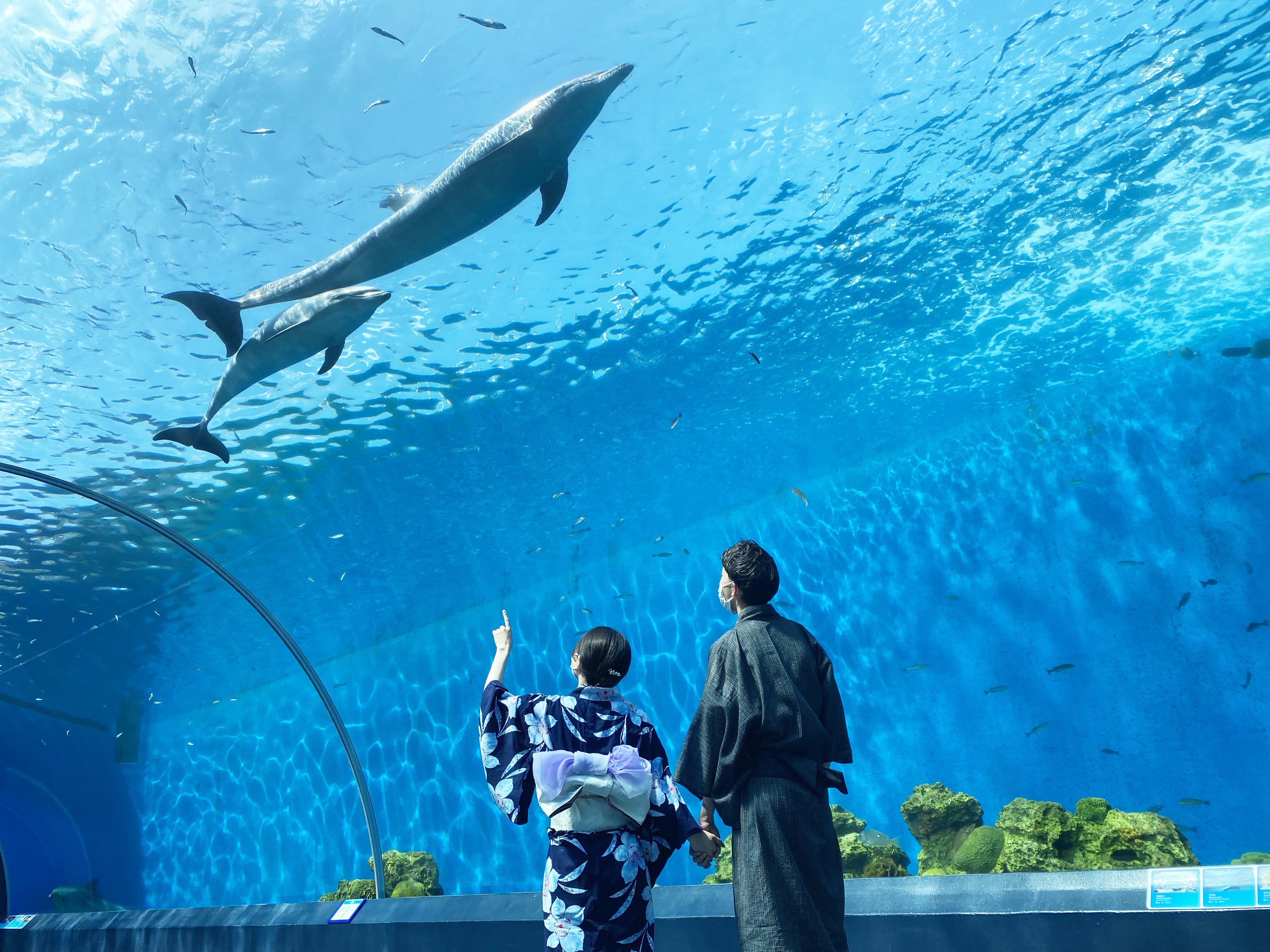 浴衣カップル１