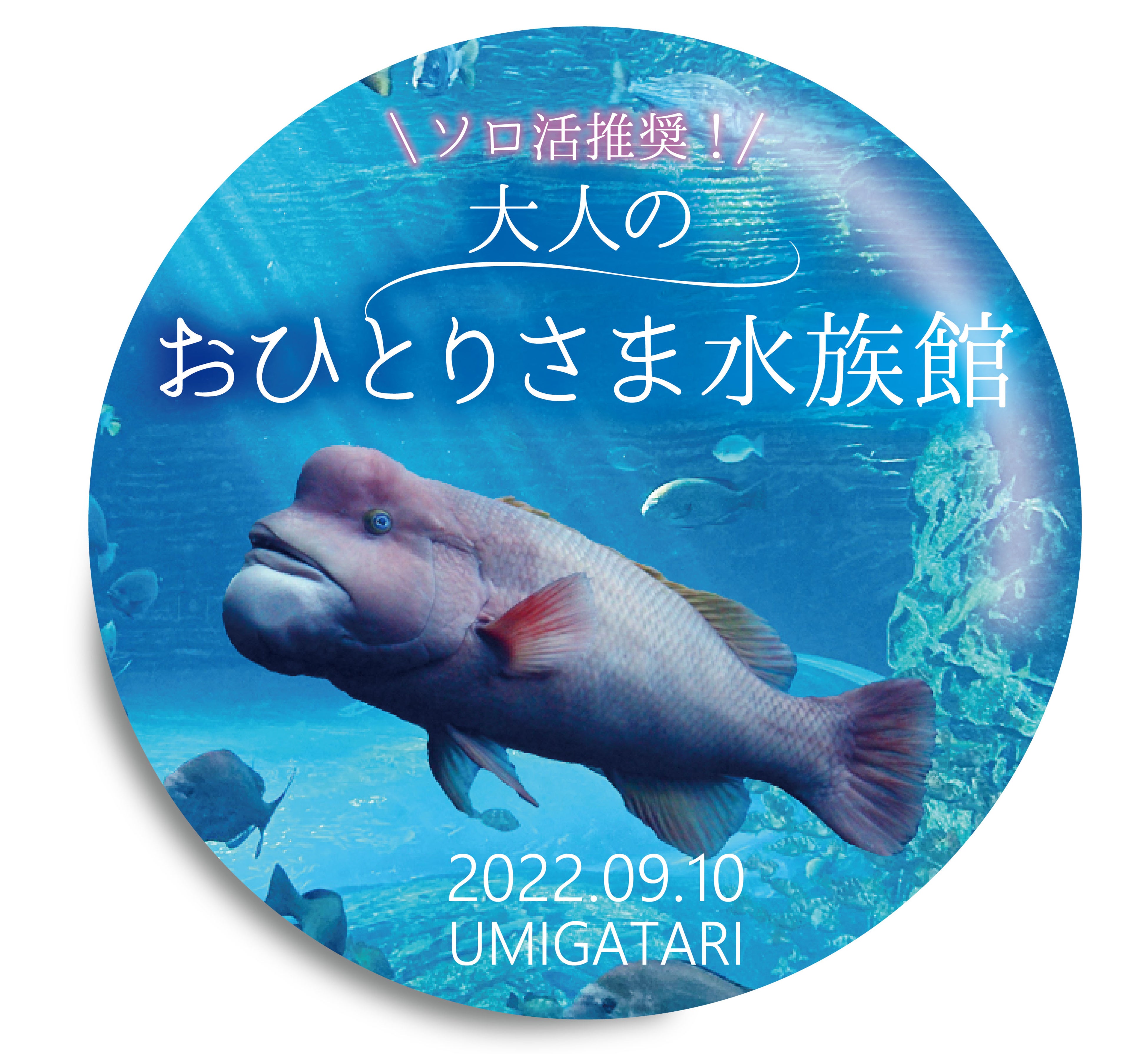 オリジナル缶バッチ※画像はイメージです