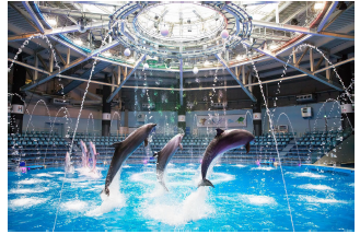 「Ｗｈｉｔｅ Ｐｒｉｓｍ　※イメージ」