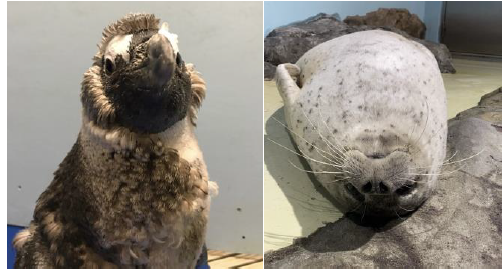 「ライフサイクルムービー　※イメージ」