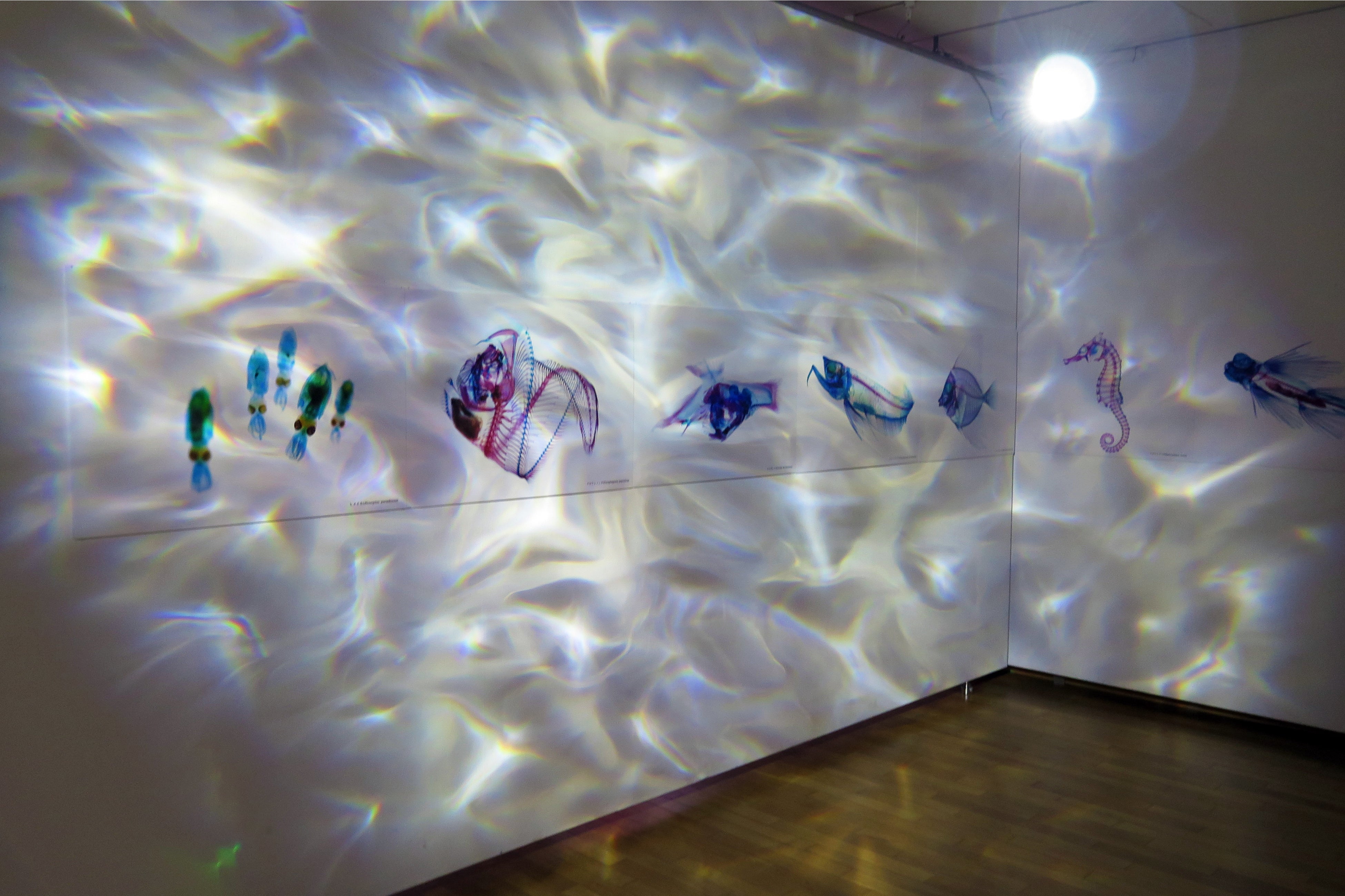 館内を映像でアーティスティックに演出