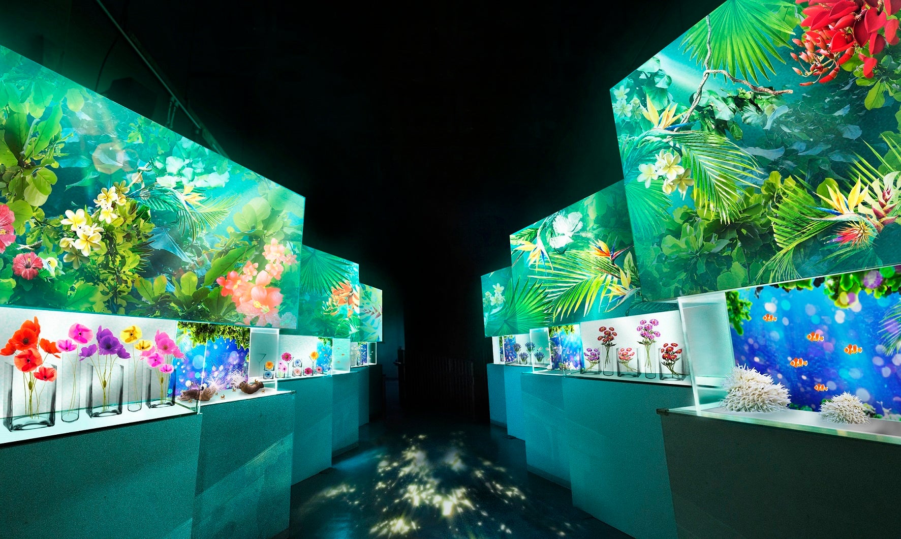 Ｂｌｏｏｍｉｎｇ Ｓｔｒｅｅｔ　※イメージ