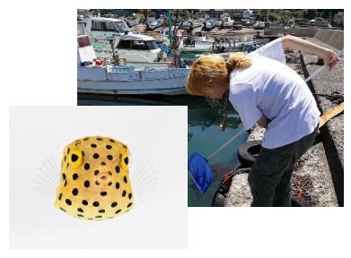 鈴木香里武氏とのコラボイベント!幼魚特別展『鈴木香里武×うみがたり ごきげんようぎょ展』上越市立水族博物館 鈴木香里武氏とのコラボイベント!幼魚特別展『鈴木香里武×うみがたり ごきげんようぎょ展』上越市立水族博物館